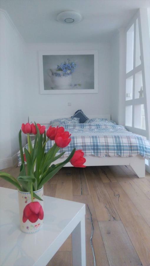 Apartment Seerose Remseck am Neckar المظهر الخارجي الصورة