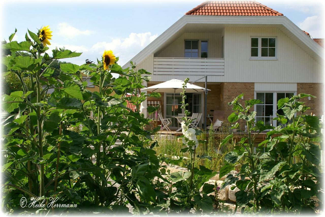 Apartment Seerose Remseck am Neckar المظهر الخارجي الصورة
